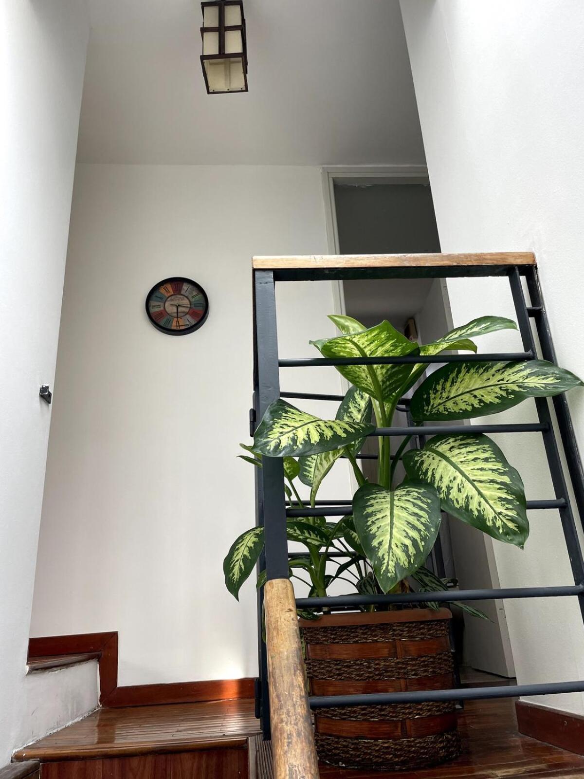 Duplex Moderno, Luminoso Y Centrico En Mvd 3 2 Banos Apartamento Montevideo